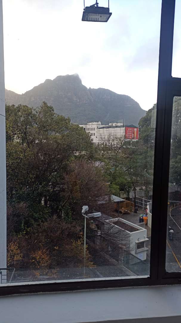 To Let commercial Property for Rent in Newlands Western Cape